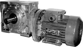 Мотор-редуктор спироидный МРС1 - 40.